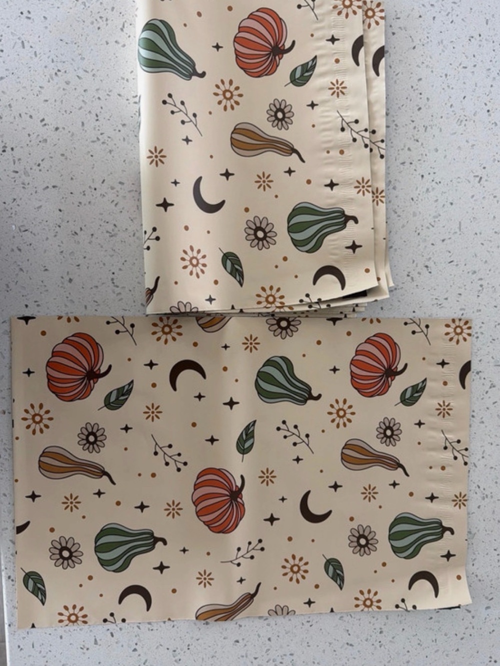 Poly Mailers 10x13 Set of 10